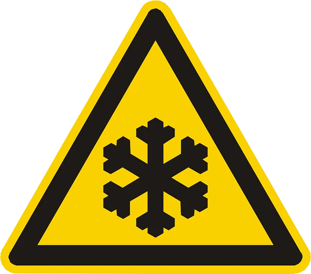 Compresor en Climas Fríos Compresor en Climas Fríos