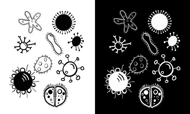Drenar tu Sistema de Aire Comprimido